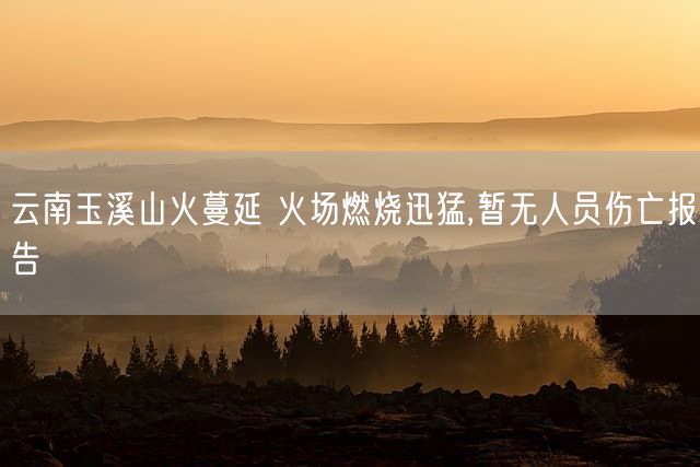 云南玉溪山火蔓延 火场燃烧迅猛,暂无人员伤亡报告