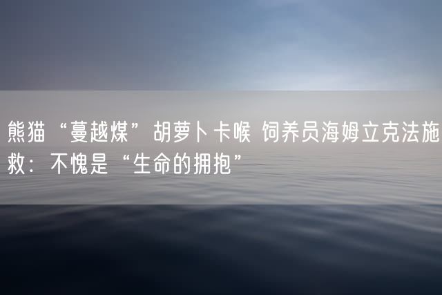 熊猫“蔓越煤”胡萝卜卡喉 饲养员海姆立克法施救：不愧是“生命的拥抱”