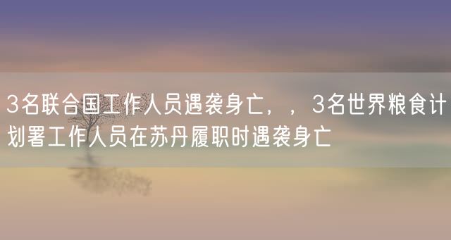 3名联合国工作人员遇袭身亡，，3名世界粮食计划署工作人员在苏丹履职时遇袭身亡