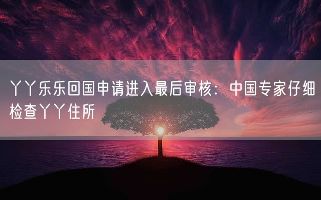 丫丫乐乐回国申请进入最后审核：中国专家仔细检查丫丫住所