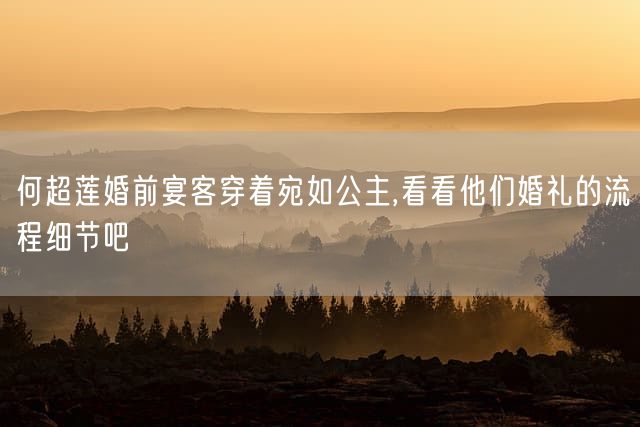 何超莲婚前宴客穿着宛如公主,看看他们婚礼的流程细节吧