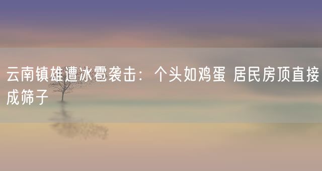 云南镇雄遭冰雹袭击：个头如鸡蛋 居民房顶直接成筛子