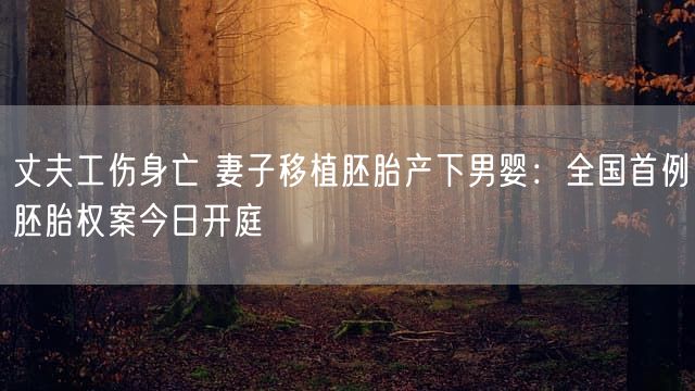 丈夫工伤身亡 妻子移植胚胎产下男婴：全国首例胚胎权案今日开庭