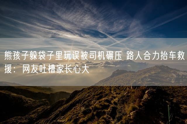 熊孩子躲袋子里玩误被司机碾压 路人合力抬车救援：网友吐槽家长心大