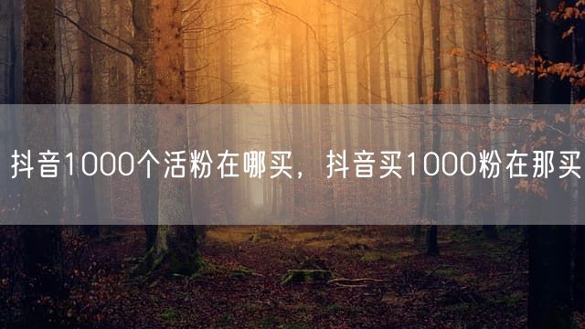 抖音1000个活粉在哪买，抖音买1000粉在那买