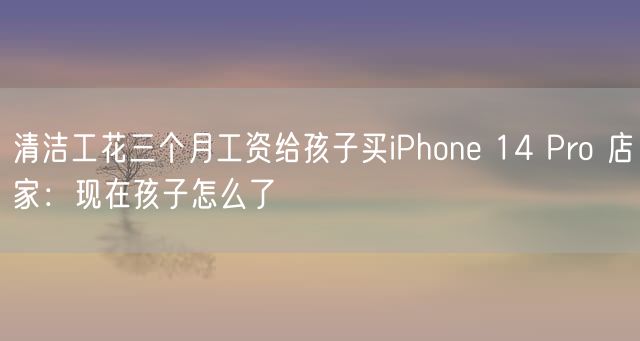 清洁工花三个月工资给孩子买iPhone 14 Pro 店家：现在孩子怎么了