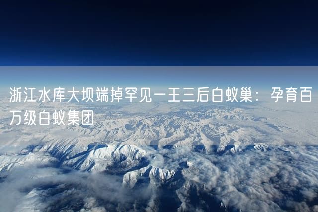 浙江水库大坝端掉罕见一王三后白蚁巢：孕育百万级白蚁集团