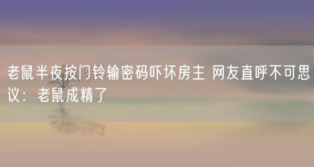 老鼠半夜按门铃输密码吓坏房主 网友直呼不可思议：老鼠成精了