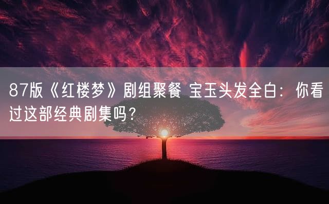 87版《红楼梦》剧组聚餐 宝玉头发全白：你看过这部经典剧集吗？