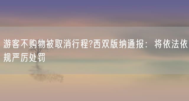 游客不购物被取消行程?西双版纳通报：将依法依规严厉处罚