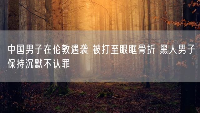 中国男子在伦敦遇袭 被打至眼眶骨折 黑人男子保持沉默不认罪
