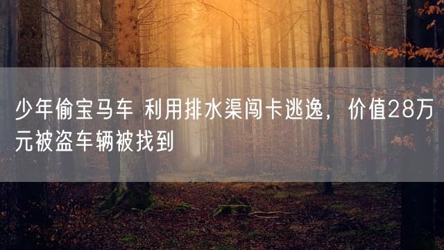 少年偷宝马车 利用排水渠闯卡逃逸，价值28万元被盗车辆被找到