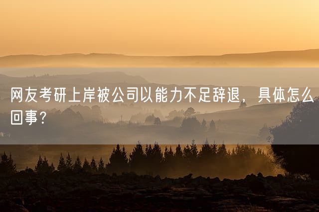 网友考研上岸被公司以能力不足辞退，具体怎么回事？