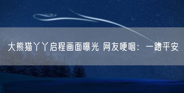 大熊猫丫丫启程画面曝光 网友哽咽：一路平安