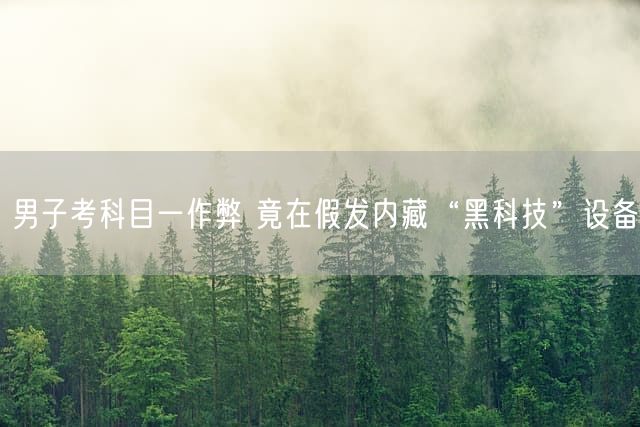 男子考科目一作弊 竟在假发内藏“黑科技”设备