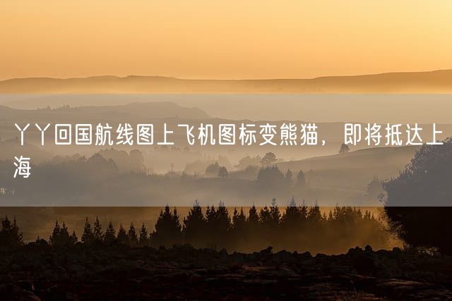 丫丫回国航线图上飞机图标变熊猫，即将抵达上海
