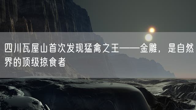 四川瓦屋山首次发现猛禽之王——金雕，是自然界的顶级掠食者