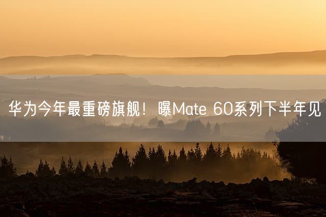 华为今年最重磅旗舰！曝Mate 60系列下半年见