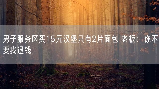 男子服务区买15元汉堡只有2片面包 老板：你不要我退钱