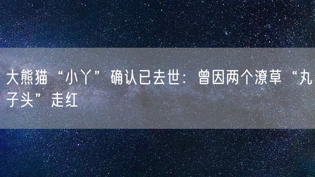 大熊猫“小丫”确认已去世：曾因两个潦草“丸子头”走红