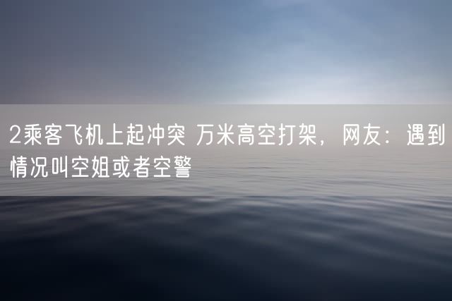 2乘客飞机上起冲突 万米高空打架，网友：遇到情况叫空姐或者空警