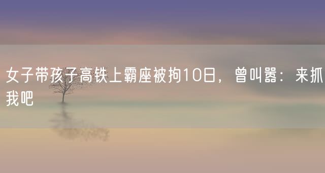 女子带孩子高铁上霸座被拘10日，曾叫嚣：来抓我吧