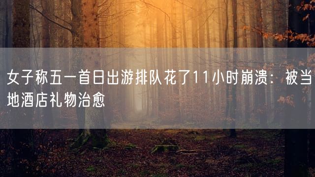 女子称五一首日出游排队花了11小时崩溃：被当地酒店礼物治愈