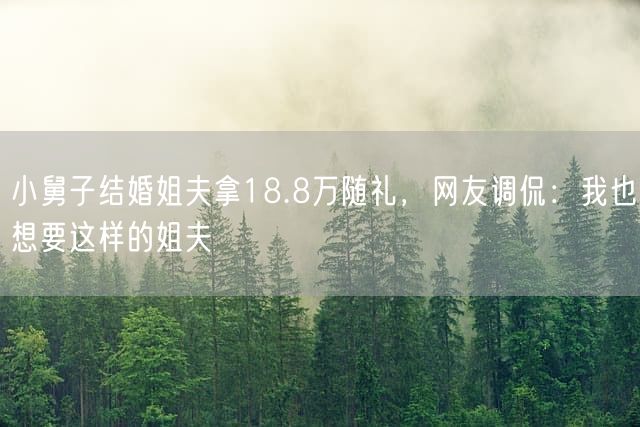 小舅子结婚姐夫拿18.8万随礼，网友调侃：我也想要这样的姐夫