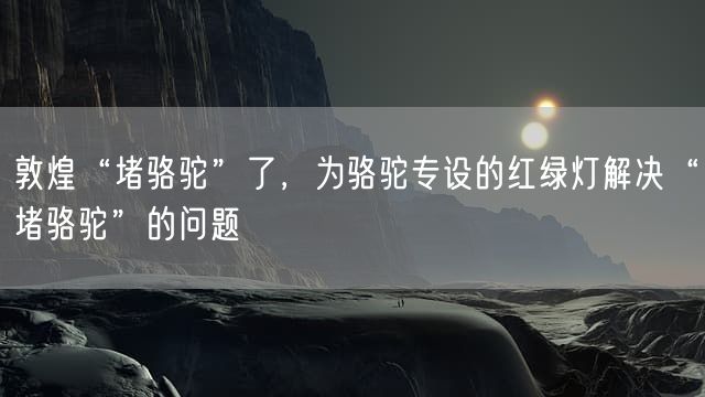 敦煌“堵骆驼”了，为骆驼专设的红绿灯解决“堵骆驼”的问题