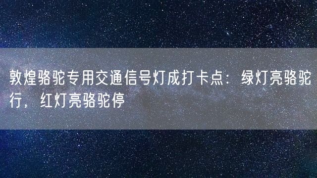 敦煌骆驼专用交通信号灯成打卡点：绿灯亮骆驼行，红灯亮骆驼停