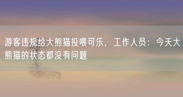 游客违规给大熊猫投喂可乐，工作人员：今天大熊猫的状态都没有问题