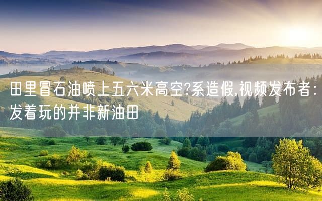 田里冒石油喷上五六米高空?系造假,视频发布者：发着玩的并非新油田