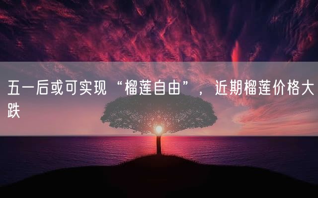 五一后或可实现“榴莲自由”，近期榴莲价格大跌