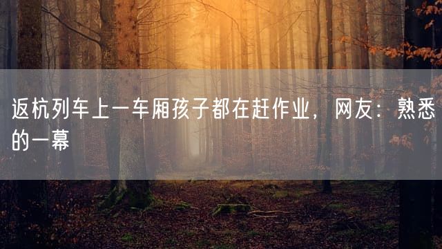 返杭列车上一车厢孩子都在赶作业，网友：熟悉的一幕