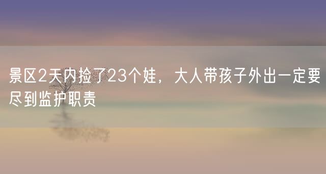 景区2天内捡了23个娃，大人带孩子外出一定要尽到监护职责