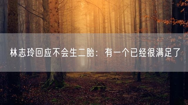 林志玲回应不会生二胎：有一个已经很满足了