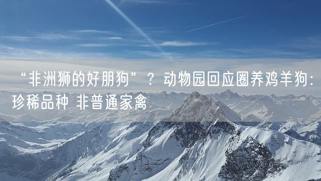 “非洲狮的好朋狗”？动物园回应圈养鸡羊狗：珍稀品种 非普通家禽