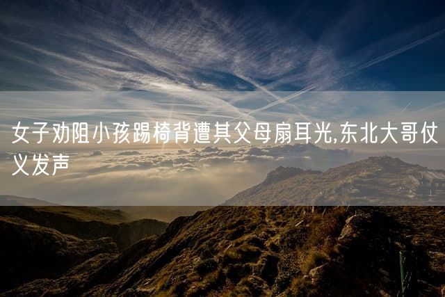 女子劝阻小孩踢椅背遭其父母扇耳光,东北大哥仗义发声