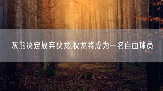 灰熊决定放弃狄龙,狄龙将成为一名自由球员