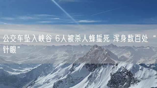 公交车坠入峡谷 6人被杀人蜂蜇死 浑身数百处“针眼”