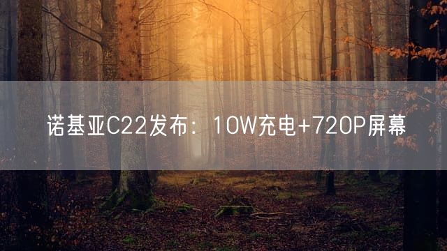 诺基亚C22发布：10W充电+720P屏幕