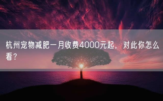 杭州宠物减肥一月收费4000元起，对此你怎么看？