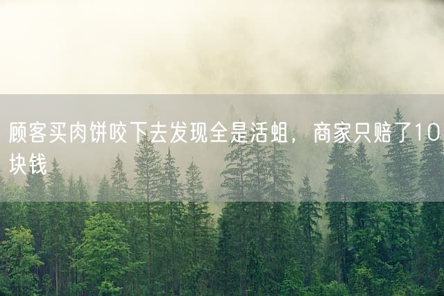 顾客买肉饼咬下去发现全是活蛆，商家只赔了10块钱
