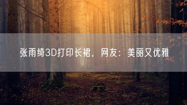 张雨绮3D打印长裙，网友：美丽又优雅