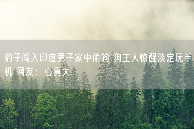 豹子闯入印度男子家中偷狗 狗主人惊醒淡定玩手机 网友：心真大