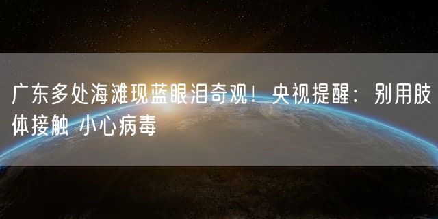 广东多处海滩现蓝眼泪奇观！央视提醒：别用肢体接触 小心病毒