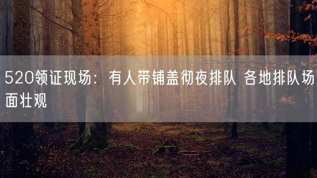 520领证现场：有人带铺盖彻夜排队 各地排队场面壮观