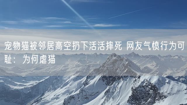 宠物猫被邻居高空扔下活活摔死 网友气愤行为可耻：为何虐猫