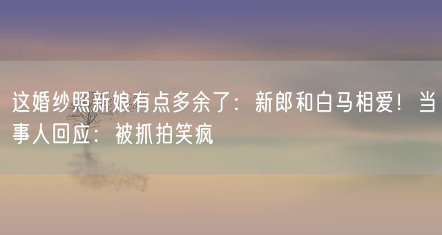 这婚纱照新娘有点多余了:新郎和白马相爱!当事人回应:被抓拍笑疯