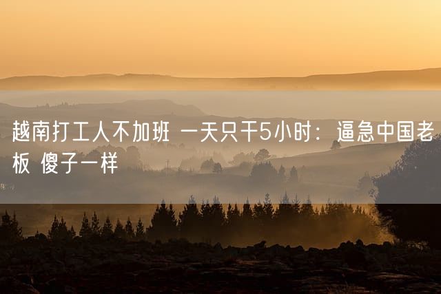 越南打工人不加班 一天只干5小时：逼急中国老板 傻子一样